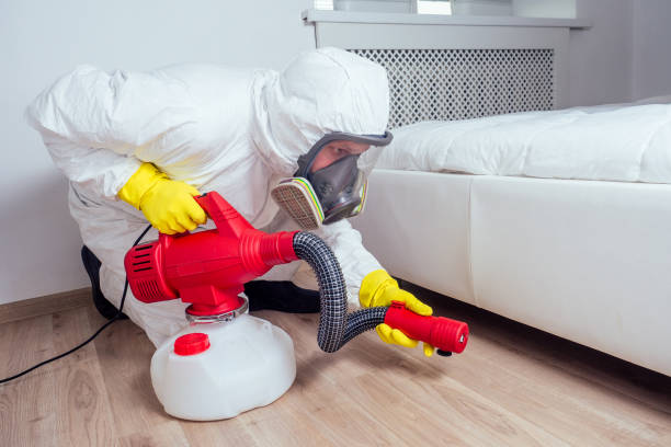 Best Flea Control Services  in Cave City, AR