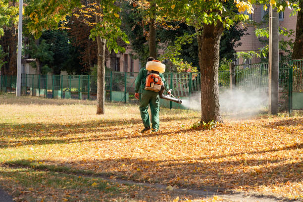 Best Flea Control Services  in Cave City, AR